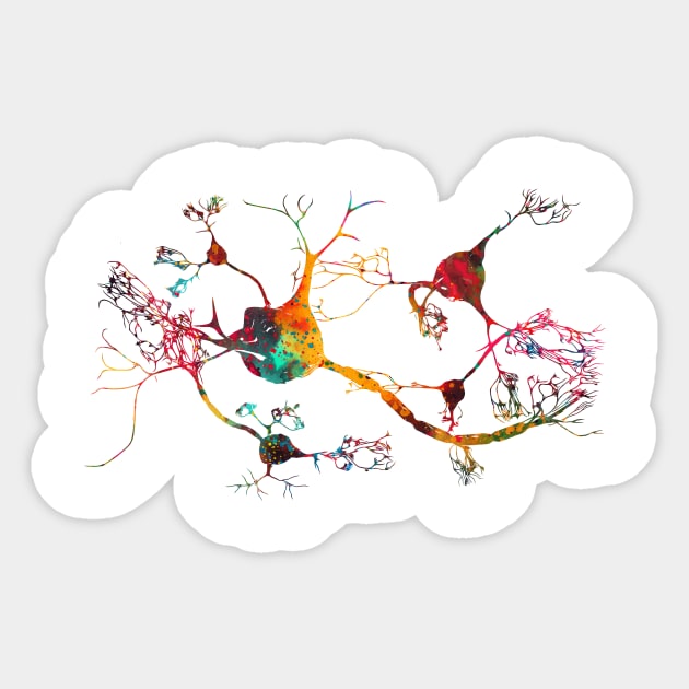 Neurons and nervous system Sticker by erzebeth